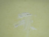 N912MF-KX042726ML-29JL-N9