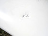 169-110001-655 Beech A24R Wing Assembly LH