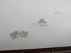 0852014-200 Cessna Upper Engine Cowl LH