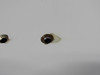 5523105-84 Cessna Citation II 550 Wing Tip Assembly RH