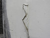 5527000-75 Cessna Citation II 550 Main Landing Gear Door LH