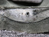 5565512-1 (Use: 5565512-6) Cessna Citation II Control Column Boot Assy LH or RH