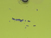 6522100-5 Cessna Citation II 550 Anti-Ice Leading Edge Assembly LH