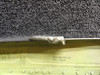 202-0021-48 Cessna Citation II Thrust Reverser Assembly RH
