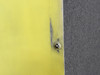 5552150-50 Cessna Citation II Model 550 Upper Outboard Cowling Door Assembly RH