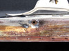 63047-007 Piper PA28-140 Cabin Door Assembly RH
