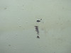 KX060126AJ-23BS-KX