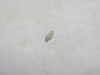 Cessna 172 Wing Tip Assembly LH