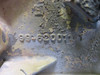 99-620011-1 Beechcraft King Air Elevator Horizontal Support Hinge LH