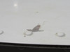 96-640000-608 Beechcraft A56TC Vertical Stabilizer Assembly