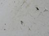 1159W30701-2 Gulfstream GII Winglet Assembly RH