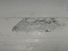2484000-3 Learjet 24 Elevator Assembly LH