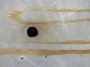 0823413-32 Cessna 340 Lower Wing Tip Fuel Fairing Assembly RH