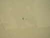 6632000-4 Cessna 560XL Citation XLS+ Horizontal Stabilizer Assembly