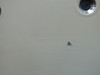 6610162-9 (Alt: 6610162-53) Cessna 560XL (XLS+) Wing to Fuselage Fairing LH