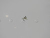 6325100-2 (Alt: 6392500-2) Cessna 525 Citation Flap Assembly RH