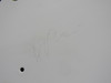 6322153-37 (Use: 6311153-51) Cessna 525 Citation CJ1 Outboard Access Panel LH