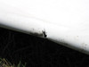 0720601-201 (Use: 0720601-209) Cessna 182H Wing Structure Assembly LH (Core)