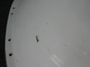 173612-3 IAI 1124 Westwind I Wheel Well Fairing LH