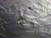 5552250-1 Cessna Citation 501 Anti-Ice Engine Inlet Assembly LH