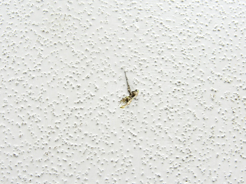 7253810-753 SAAB 340A Floor Panel Assembly