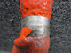 2406005-24 (Alt: 156F001-12D-0097) Hose Assembly