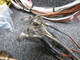 Electronics International EDC-33P-8 Electronics Intl Smart Engine Data Converter with Probes for MVP-50 