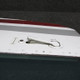 0811489-74 Cessna 310R Cabin Door Structure RH W/ Latch