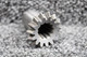Continental 629602 Continental Governor Driven Gear Bevel 