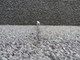 24055-002 Piper Nose Cowl Hinge