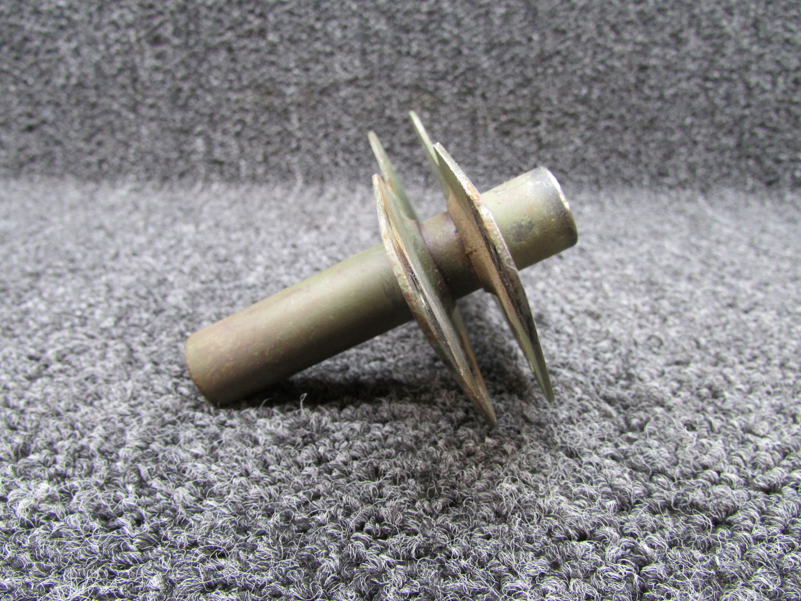 骨製貝根付 [B28710] クロトゲホネガイ【8cm前後/2個】 En: Murex nigrispinosus (size