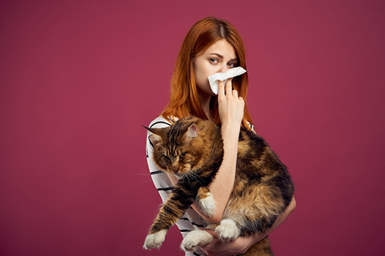 Cat Allergies in Humans Purrform Ltd