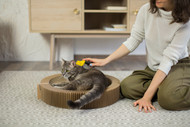 Understanding seasonal moulting and how to keep your cat’s skin and coat healthy