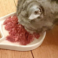 Why do I need to feed less Purrform than other food?