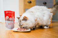 Raw Feeding Myths Busted: What the Science (And Your Cat) Really Say