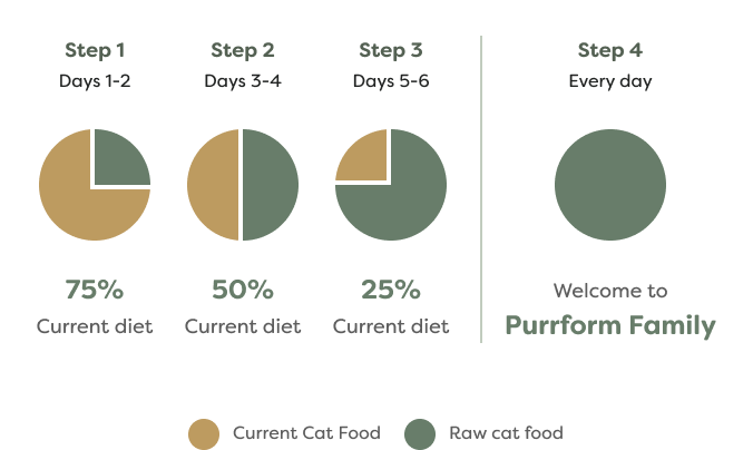 Transitioning to raw diagram