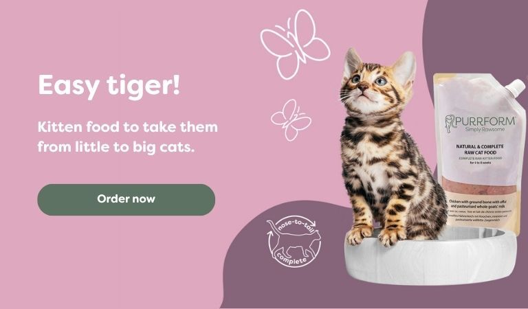 weaning cat food range