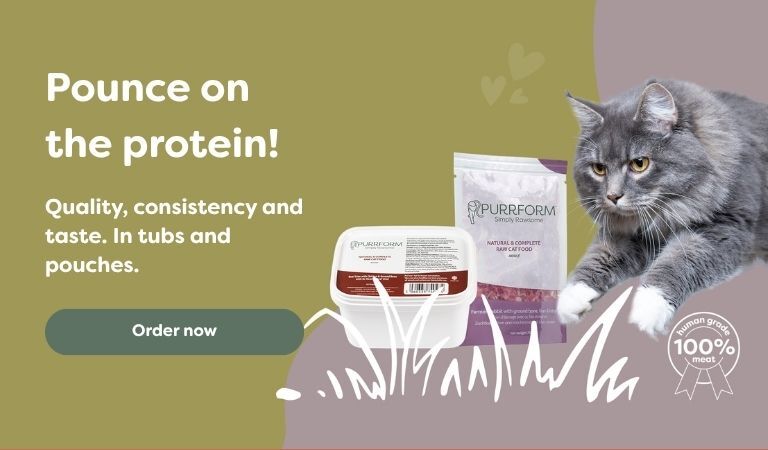 adult cat food range