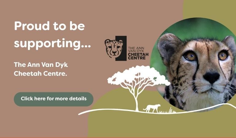 cheetah sanctuary donation