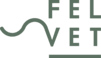 Felvet