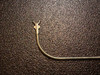 Jaw photo of Gyrus 335405 Sinus Giraffe Forceps, 90° Upturned, Vertical 2mm Jaws