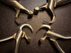Jaw photo of GoldenMisch GMX 100-200 Physics Forceps Standard Set