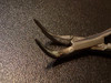 Jaw photo of Hu-Friedy F301 Serrated Root Forceps
