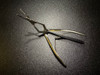 Handle photo of Pilling 031505 Jansen-Middleton Septum Forceps, Cup Jaws, 5mm X 15mm
