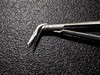 Blade photo of W. Lorenz 34-7060 Micro Vascular Potts Scissors, 45°, 6.5"