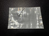 Plate photo of OsteoMed 333-1203 HPS 1.2mm T Plate