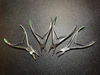 Rongeurs photo of Karl Schumacher Dental Extraction Instrument Set