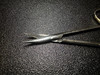 Blade photo of Jarit 360-141 Stevens Tenotomy Scissors, CVD, 4 1/8"