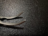 Jaw photo of V. Mueller CH8510 Jacobson Bulldog Clamp, CVD, 1.75"