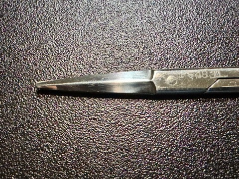 Blade photo of Padgett P4831 Gorney Plastic Surgery Scissors, STR, 7.25"